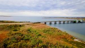 Bridge2